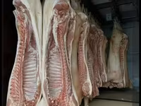СВИНИНА ОПТОМ В ПОЛУТУШАХ - Прямая поставка свежей продукции. - — تصویر 3