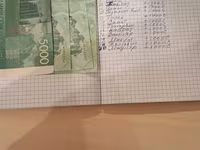 گاو نر, گاو — عکس 1