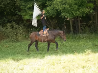 Pastuv, Racking Horse — fotografija 3