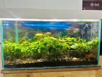 Ակվարիում 130 լիտր — عکس 3