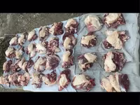 قوچ, گوسفند — عکس 5
