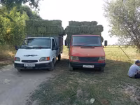Продаётся 3укос клевер чистый — photo 2