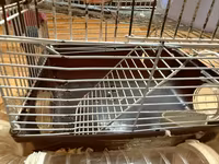 Hamster üçün tam dəst 2 mərtəbə qəfəs - Metall karkaslı, çıxarılan — foto 3