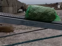 СИЛОС В УПАКОВКЕ ПО 24-26 кг ВЫСШИЙ СОРТ!!! Ватсапп+ — foto 2