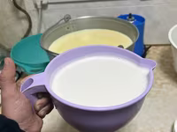 암염소, Saanen goat — 사진 3
