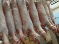 Продам баранину ягнят — 照片 1