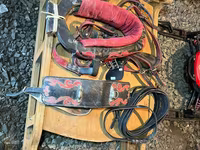 Kuda betina, Horses — foto 4