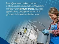 Sprayfo Delta buzov süd əvəzedicisi buzovların sağlam inkişafı və — عکس 4