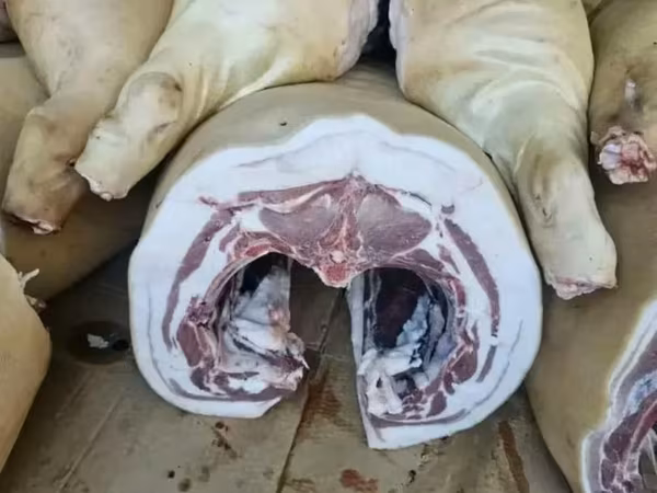Рагу свиное