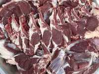قوچ, گوسفند — عکس 8