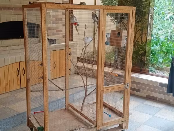 Böyük ölçülü quş volyeri/sərgisi - Material: möhkəm taxta karkas, sıx