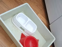 Ev heyvanları üçün aksesuarlar 1) Daşıma qabı + tualet qabı + yemək — عکس 5