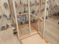 Papuqay,dovşan,hamster,şinşila,bildirçin,cücə,xamyak,pişik,quş,tısbağa — عکس 3