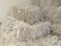 В тюках клевер ячмень
свежий в тюках с дома 180 тюков — عکس 2