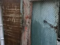 Məhsul: Taxta və metal konstruksiyalı quşxana/kümes Təsvir: - — foto 2