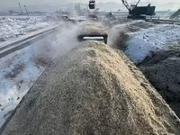 Жом (свекловичный жом) — свежий, сочный, рассыпчатый. Отличный корм — foto 3