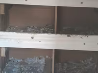 Super möhkemdir 14 16 qusluqdur qiymet 30 a yendi unvan xirdalan bir — foto 3