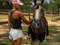 घोड़ा, Quarter Horse — फ़ोटो 7