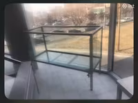 Ակվարիում մեծ ներժից — foto 1