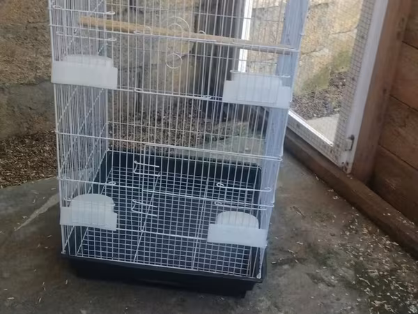 Watsapla yiğin baxin Quş qəfəsi – dekorativ damlı model - Material
