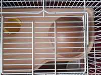 Hamster qəfəsi və aksesuar dəsti - Kiçik gəmiricilər üçün iki — fotografija 4