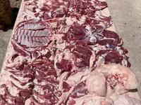 Domba jantan, Rhon sheep — foto 7