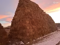 Ցորենի սալոմ 1,10 1,20 տուկեր — عکس 1