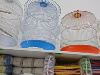 Her nov her qiymete qefesler var satisda maraqlamaq isdeyen elaqe — عکس 5