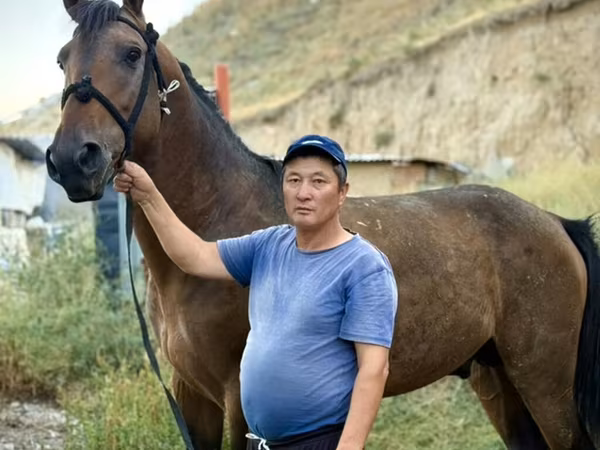 Horse (M), French Trotter — Kyrgyzstan