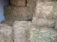 Продам тюки люцерны — عکس 1