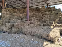 Lucerna 2026 == 2000 buc — 사진 3