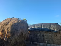 Nutreţ — foto 1