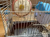 Hamster üçün tam dəst 2 mərtəbə qəfəs - Metall karkaslı, çıxarılan — foto 4
