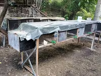 Նապաստակի բներ վանդակ — عکس 2