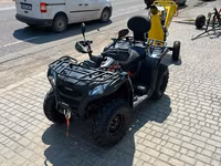 Tocator de lemne (Briggs & Stratton 14 CP) — foto 4