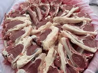 Baran, Rhon sheep — zdjęcie 7