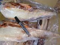 Говяжий язык без гортани бразилия/ halal — photo 4