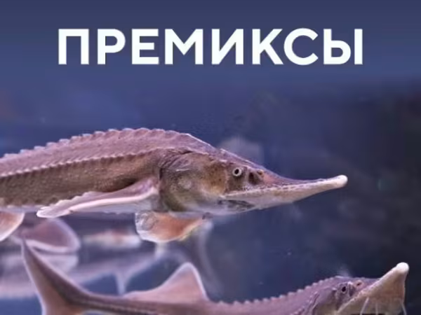 Премиксы для рыб от производителя