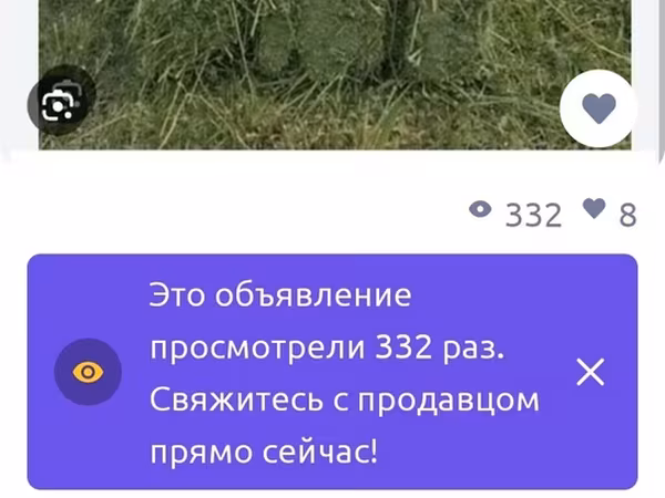 Сено в тюках - Прессованное сено прямоугольными тюками - Ровные