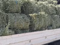 Balot de lucernă — 1. fotó