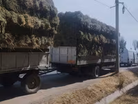 Продаю Сено разнотравье клевер тюки оптом с доставкой цена за тюк — عکس 3