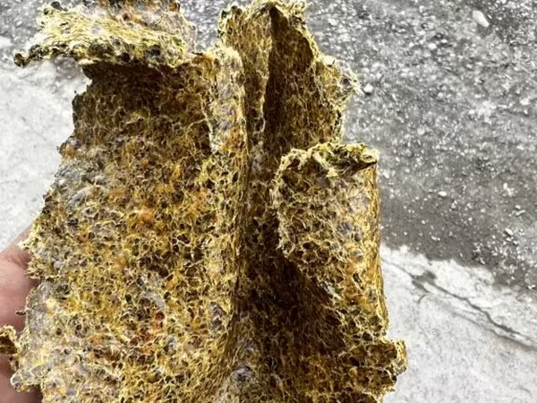 Пахта кунжара
Хлопковое жмых