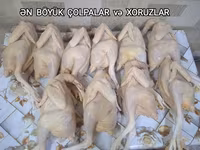 Serebris Çolpa əti. Tez bişən. 1 ədədi - Çəkisi: 500-600 qr = 6 ₼ - — تصویر 3