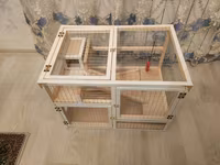 Dovşan,hamster,dağ — fotografija 4
