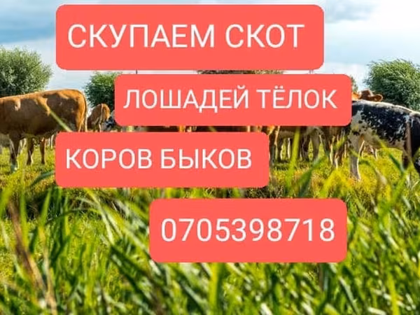 소