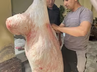 قوچ, گوسفند — عکس 2