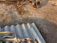 Ducks — عکس 2