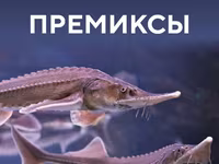 Премиксы для рыбных кормов — photo 4