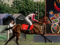 مادیان, Arabian horse — عکس 2