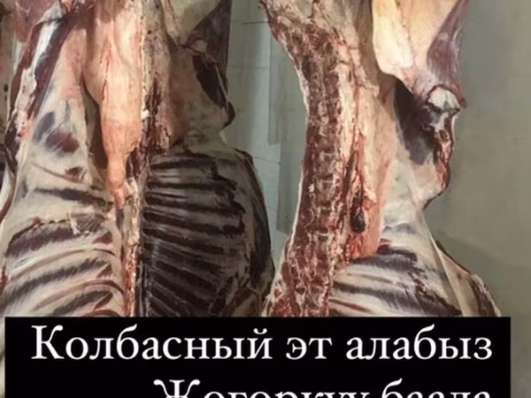 Туша